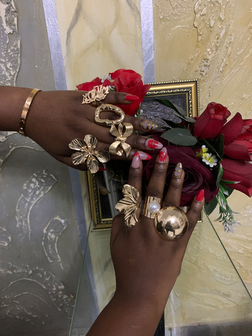 Bagues en acier inoxydable