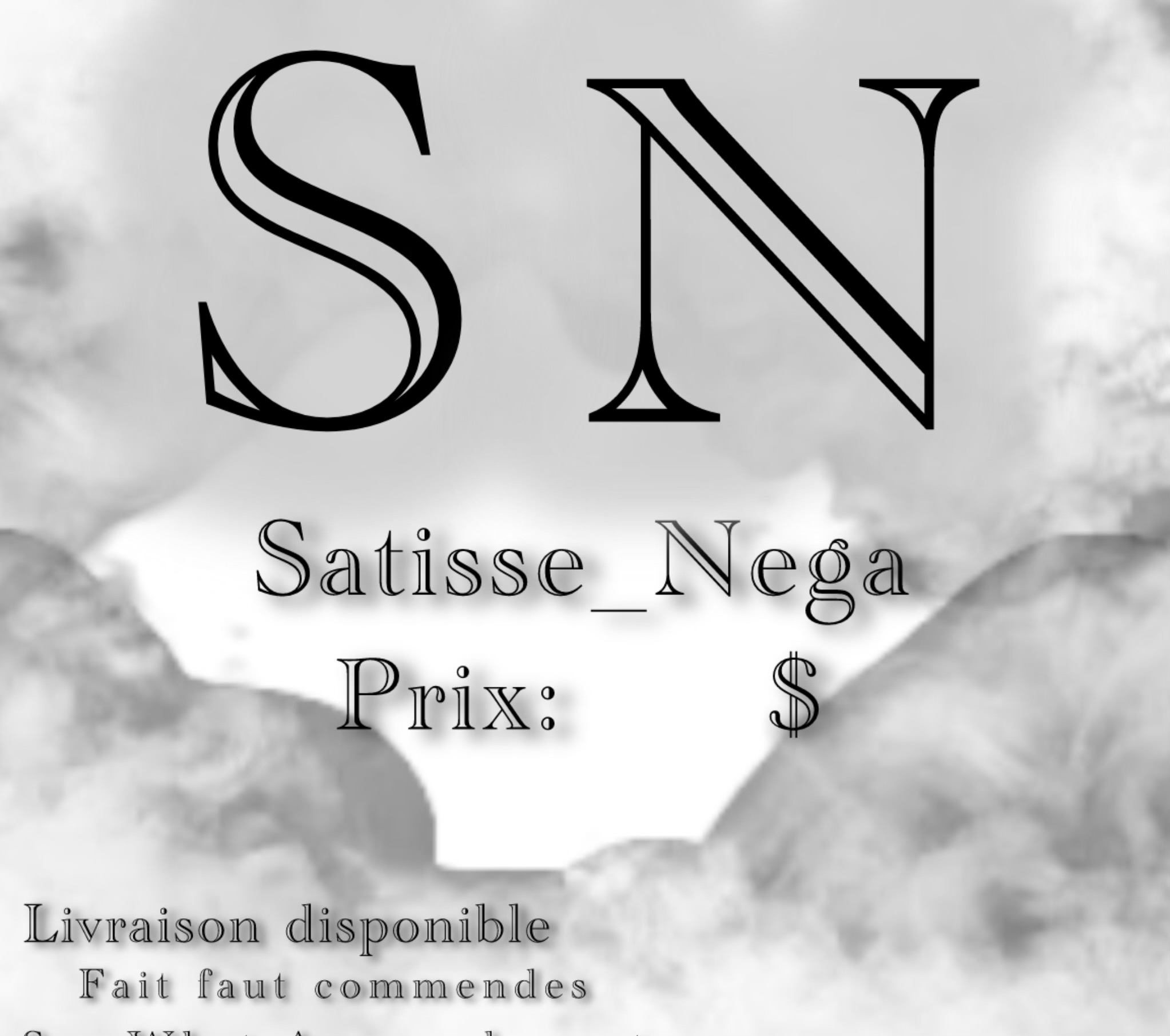 S.N business
